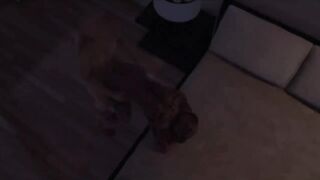 Animated Teen Tranny screws Witch T-Girl in Throat and Anal - SHEMALE HENTAI on Shemale Hentai Sex