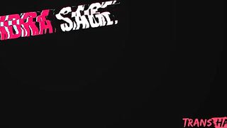 No Distractions, Total Domination / TransAngels