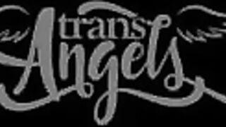 Hands On Treatment / TransAngels