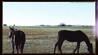 Oklahoma Wedding Goes Wrong.. Oh no