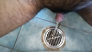 Shower drain urinate ftm