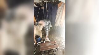 Lady stephanie klitt hanging