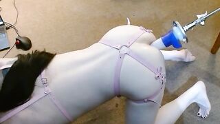 Groaning Doxy Pounded By Screw Machine