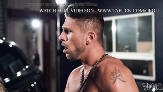 The Domino Effect TransAngels