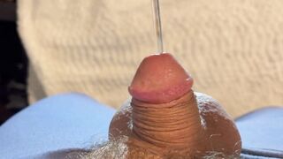 Anyone desire to check my temperature?