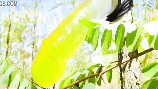 Lady Alice compilation 07 Mesmerizing Cutie (mesmerize version) View originals by subscription 4K UHD 60 FPS HDR