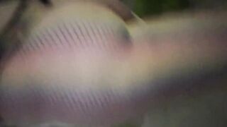 Sissy public bitch walk