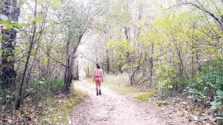 Bottomless fall walk in the woods