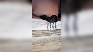 Chubby sissy bitch stuffs booty with bad dragon