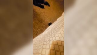 Str8 DL tattoo chap Banged hard By Ts BellaGotti Vcard