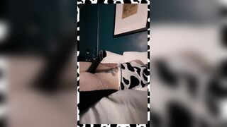 Milking pleasant cow gif ftm