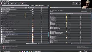 MO2 Modding Fallout 4 Profiles and Sex Mods - AAF Load Order