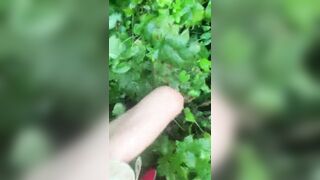 Wetlook adventure part two_two. Crossing river in shorts and tshirt and going thru large grass field...