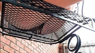 Pee Was Flowing Underneath Metal Grill Chair