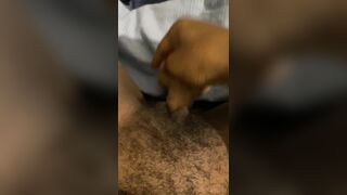 Trans man playing with glamorous cunt with sex-toy