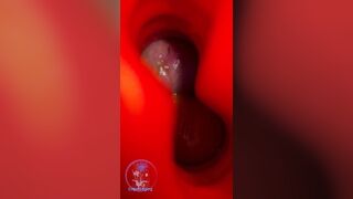 Jock Block In A Box Frot Str8 Edge Intimaly Tserica Personal Touch Dangling Close Up Shorties