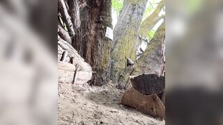 Would u use me like the cum floozy i'm dad