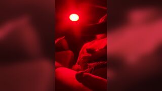 Kitty is back! A quick howdy from Thompson’s island