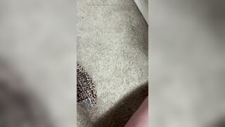 Sissy cums in gfs pants