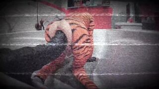 Ass Beauty Tiffany Ciskiss Cosplay Tigra Pt two Femboy Banging Biggest Toys