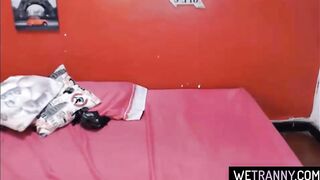 Glamorous tranny teen masturbates hard