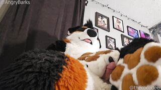 @AngryBarks plays with his step sister's paws, licks his load off 'em #PawFetish #FootJob #jizz flow