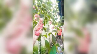 Ayangsari cewek janda kalimantan