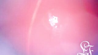 INSIDE BUTT POV: The Eggs disappeared in the aperture ...
