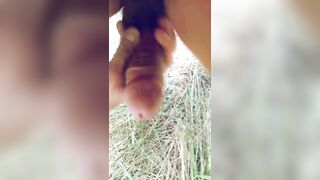 mad wild sex in nature