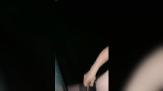 Night. Park. Car. Screwed a trans floozy.