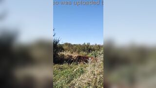 Lady Alice (9:16) 09 part 1 - Runaway Bride - Full HD 60fps