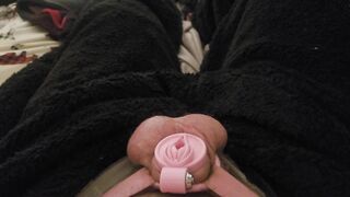 Sissy's Edging and Ballbusting Session