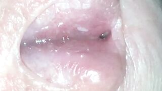 Bang my Aperture! 2019