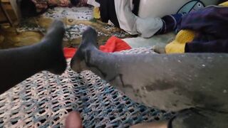 Femboy Peeing on Leggings