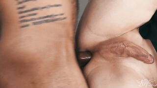 At no time Frustrated In That D! / TransAngels