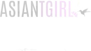 ASIANTGIRL - Updates Compilation 23rd to 27th Feb'26