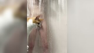 Concupiscent puppy gal in the shoes pt two