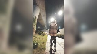 Street nudity and Twerking collection PMV