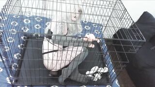 alternative maid spills platter & gets rope-tied sextoy torture - struggling in cage