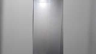 Breasts and penis in hotel elevator