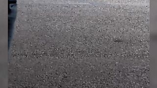 1st public walk in boots on a parking lot, clothed in nylons and red pvc costume.