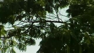 Heiße Outdoor-Leidenschaft