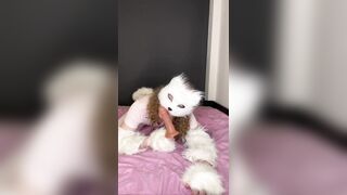 Cute therian sucking vibrator