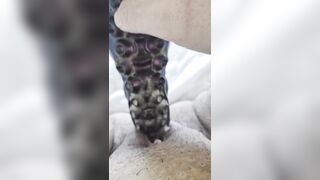 Trans dude plays with tentacle in soaked vagina then tries a smack
