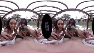 VirtualRealTrans.com - Spring breakers