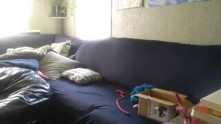 Let's Play With Some Toys