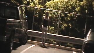 Trolling Transsexual