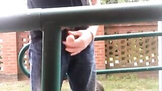Back yard stroking