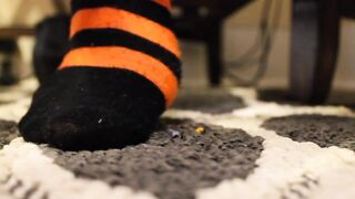 Unaware Punk Giantess Socks Crush