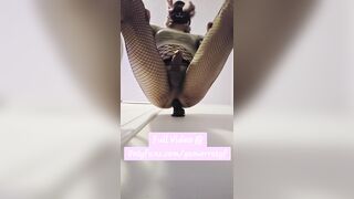 POV Femboy Rides 10" Horse Wang Above U